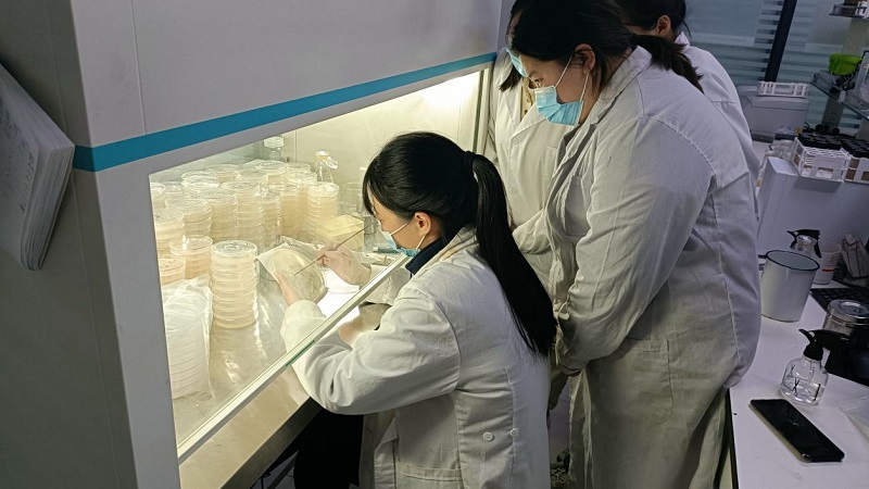 微生物檢測濾膜法操作規(guī)程是怎么樣的？